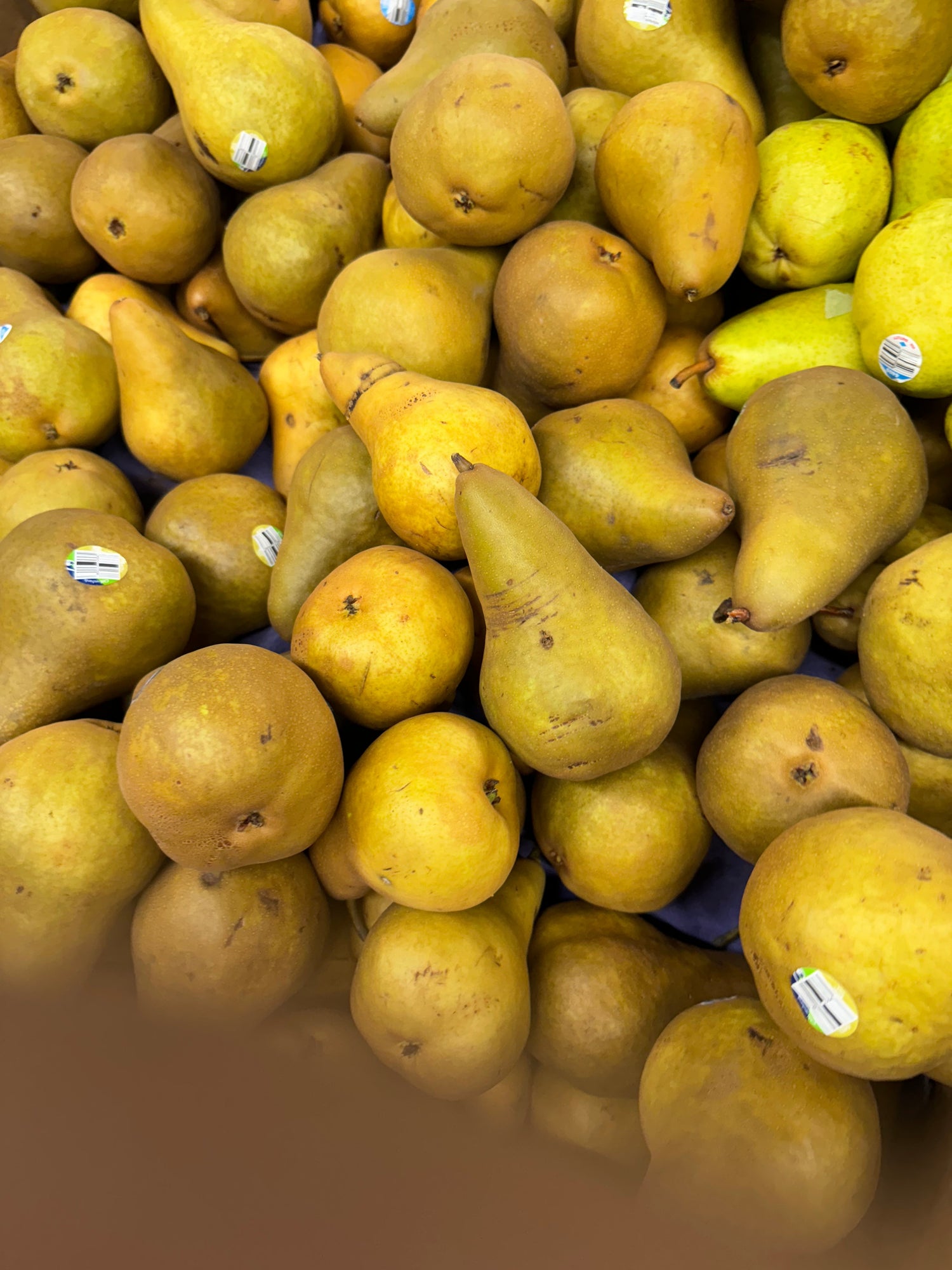 Frutas Especiales Naranjas