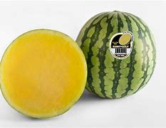 Seedless Sunny Gold Baby Melon-Fruit and Vegetables - Gift Baskets