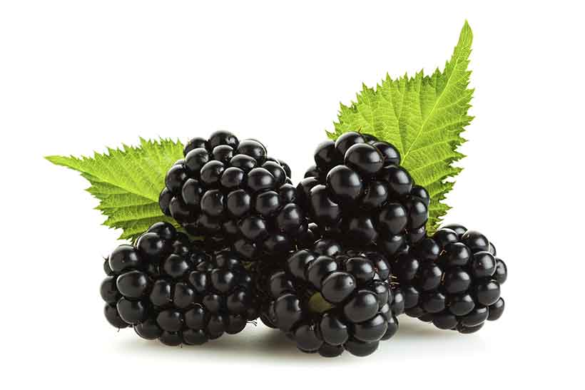 Blackberries - Fruit and Vegetables - Gift Baskets