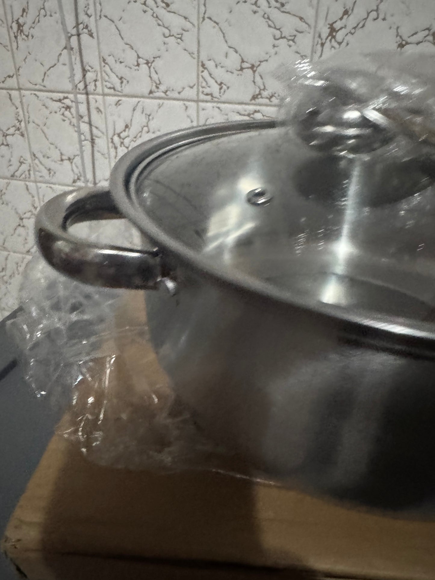 24cm Stainless Steel Cooking Pot with Glass Lid