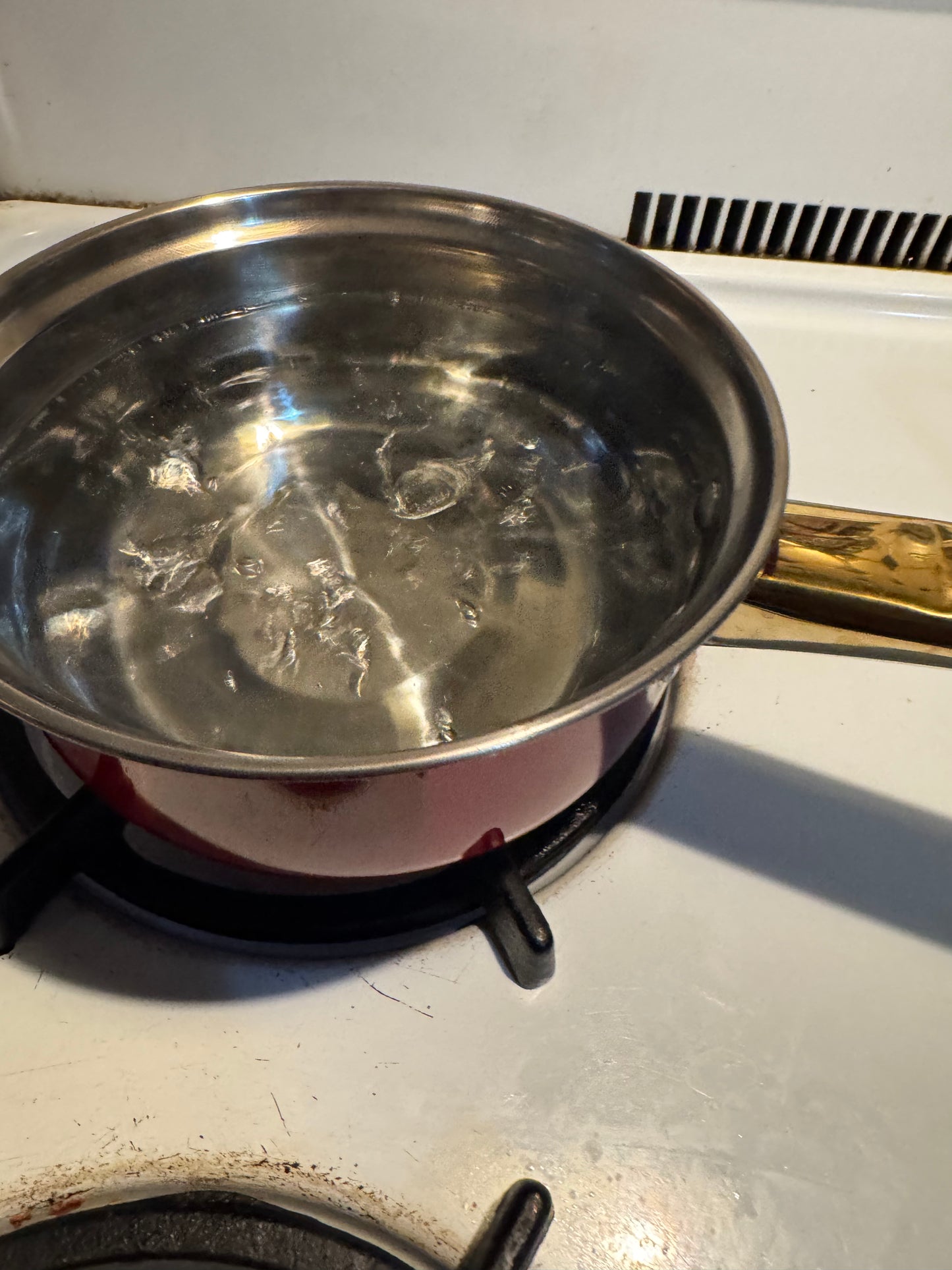 24cm Stainless Steel Cooking Pot with Glass Lid