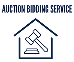 Auction Bidding Assistance