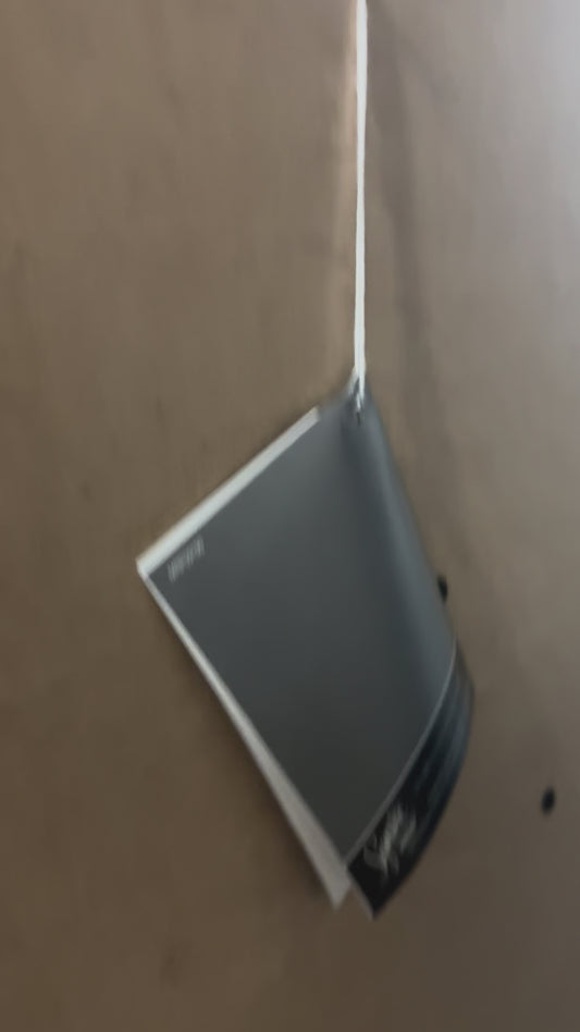 King/Cal King Poster Headboard – Model B251-68